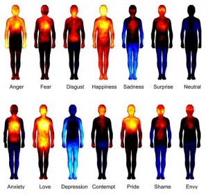 Bodily Maps of Emotions (after Prof. L.  Nummenmaa et al, Dec 2013)