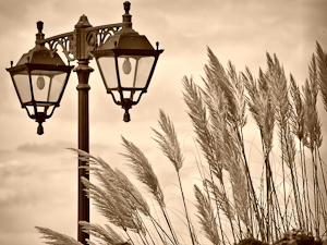 lamp and grass